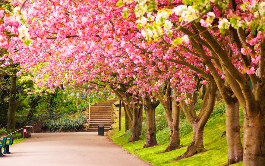 警校大学排名和排名_2018世界大学排名出炉,快来找找你的大学吧!