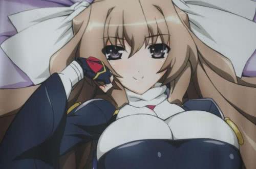 谁需要女朋友 有姐姐就够了 盘点二次元中的弟控姐姐们 葵 喜美 二次元 吉井明久 樱满真名 萝莉 笨蛋 测试 召唤兽 住之江亚香 灰色果实 吉井玲 罪恶王冠