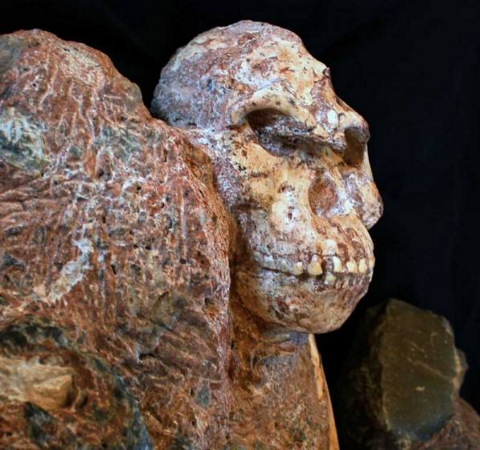 1997年南非出土的古人化石,脚没有我们一半大,她的身份特殊