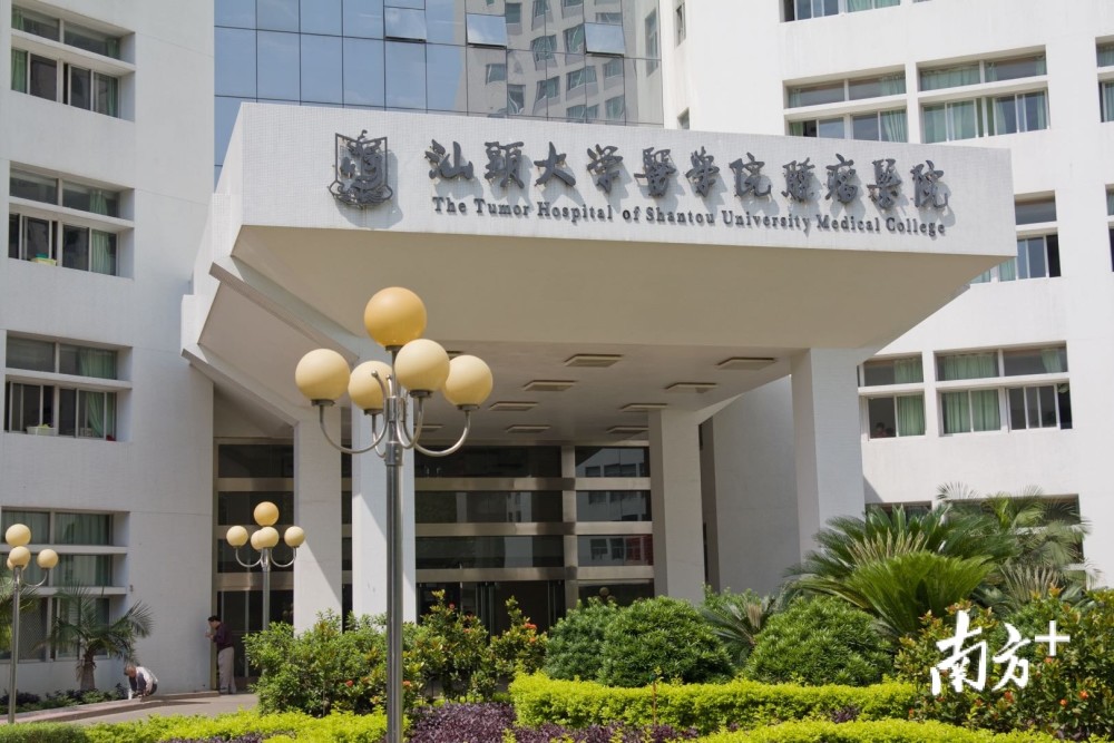医保定点肿瘤医院：构建健康生活的坚实堡垒