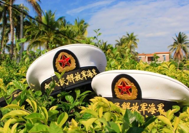 沿着营区大道前行 两旁的椰林挺拔俊秀 路边,随处可见的强军文化标语