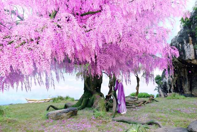 无心过问江湖之事,不过自从帝君佛铃花海后面的那种小狐狸逐渐出现后