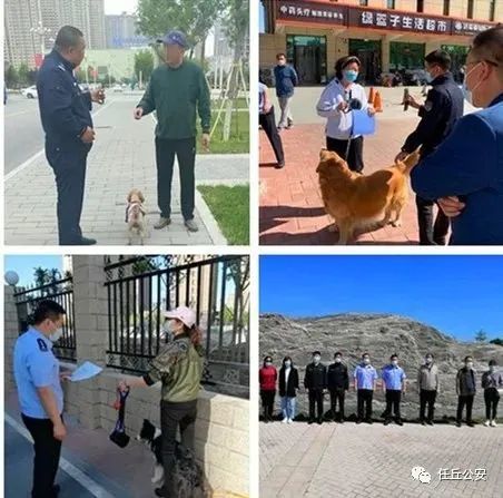 任丘第一张不文明养犬罚单已开出 这样养狗要被处罚 腾讯新闻