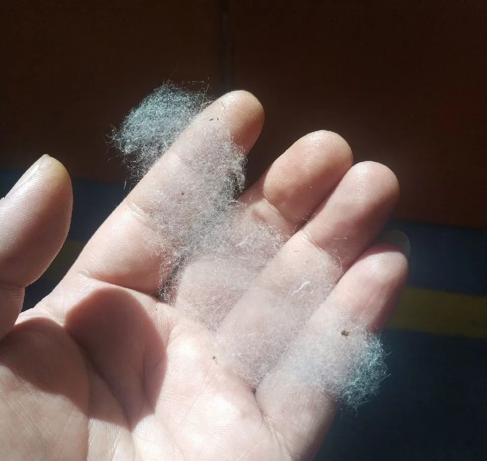 办公室……这"神秘的力量"涉及城区及多个乡镇空中多了一种白色絮状物