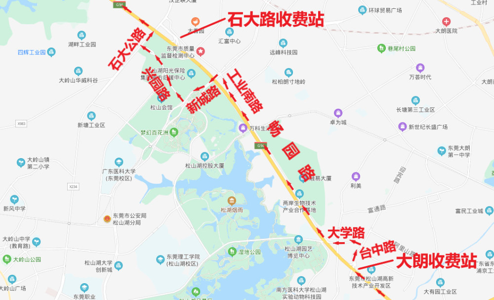 大朗地区的买保险攻略：把握当下，未雨绸缪