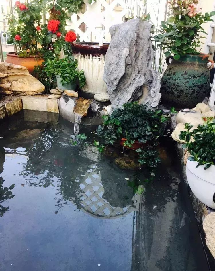 露台上打造的鱼池,清新养心