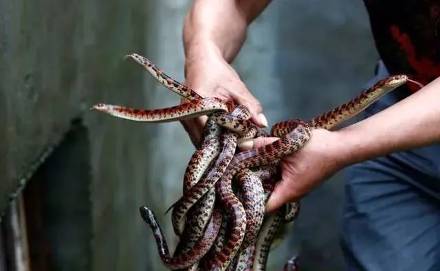 中国五大灵异古村除了封门村还有这些