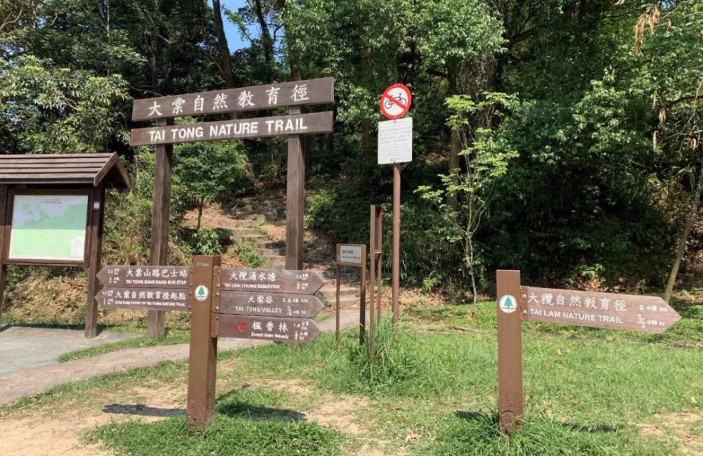 下山:往黃泥墩水塘方向,一路下山回到公路.