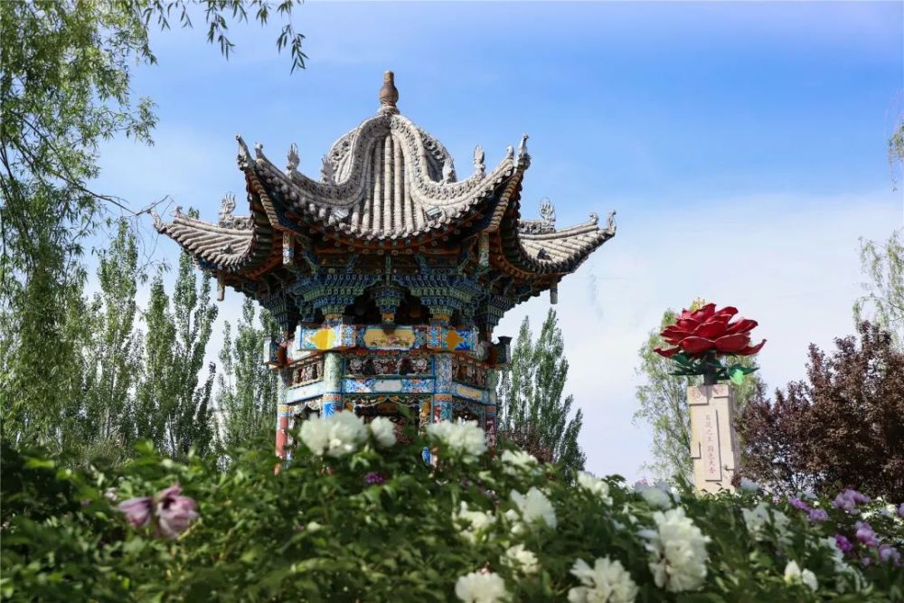 临夏市滨河牡丹长廊花香惹人醉