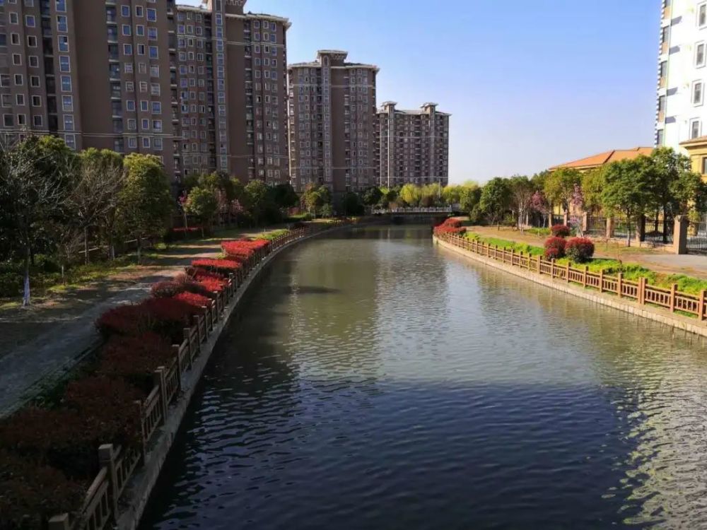 看松江这里的河道水清景美