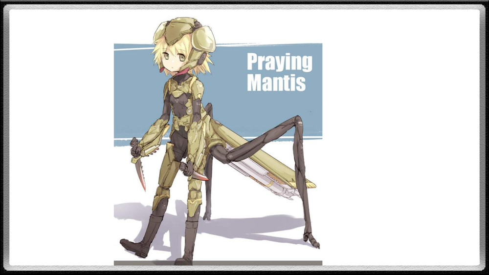 出自同一个画师之手,比起画师"plan"的蟑螂娘,这个就可爱很多.