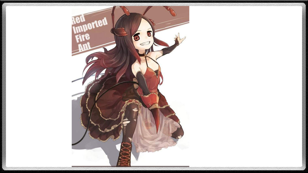 红火蚁娘化,红火蚁在蚂蚁中属于比较强悍的一类,几乎是无敌的存在