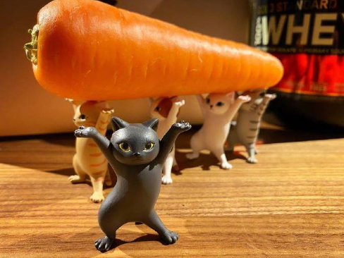 这造型也太魔性了吧|喵星人|猫咪