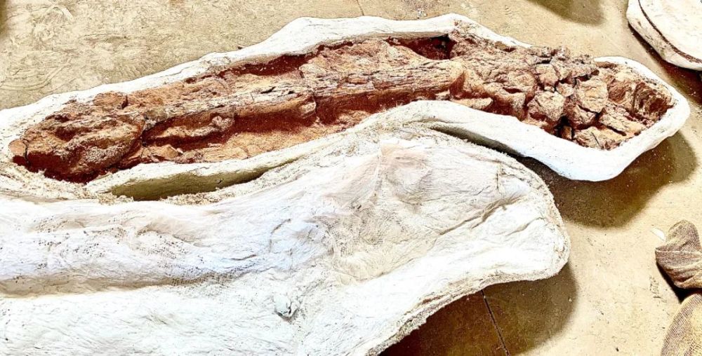 绘龙我有狼牙锤who怕who呀