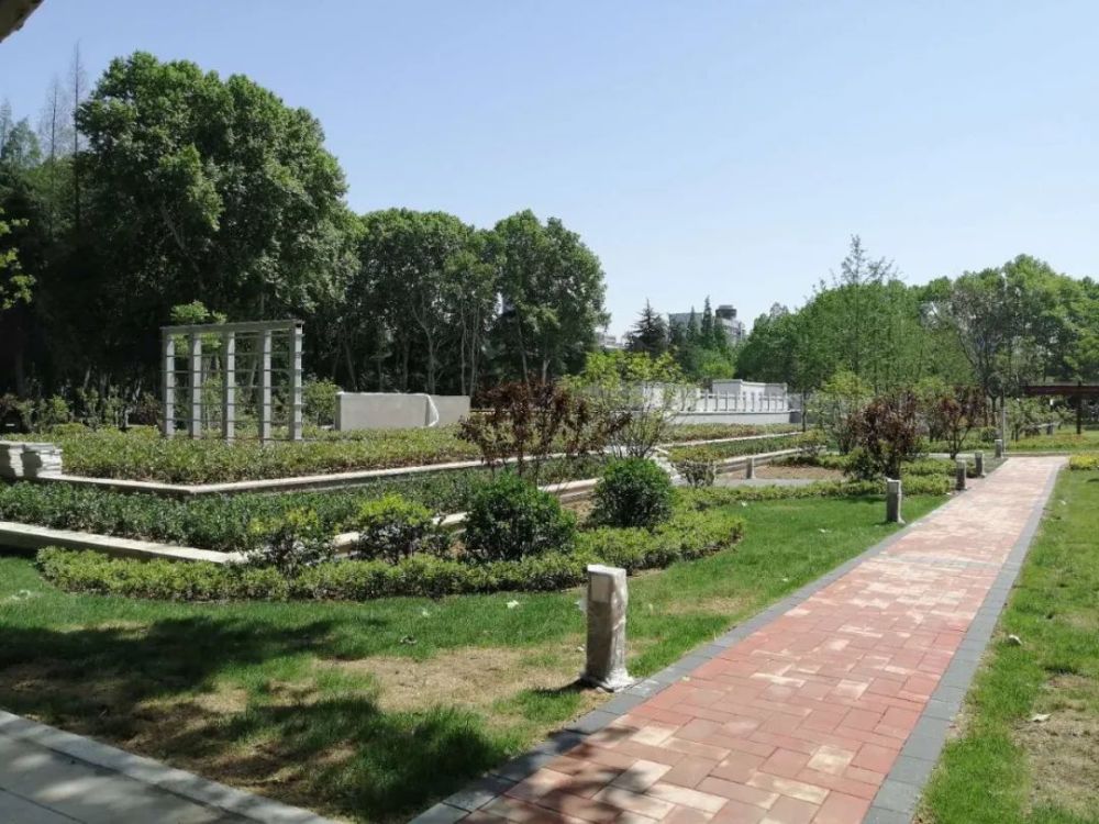 独家视频多图直击老市政府大院景观改造主体工程即将完工