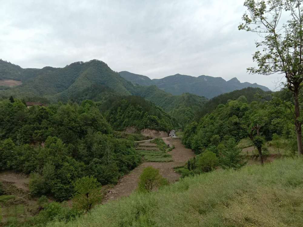 獅子山:沉睡百年的綠意