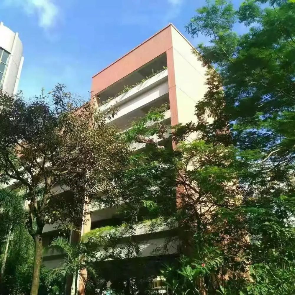 珠海市第十一中学一中升学率第五直追紫荆中学究竟是怎么做到的