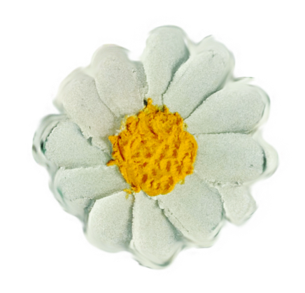 菊花|打卡～西柏店菊花盛开 静待游客采摘