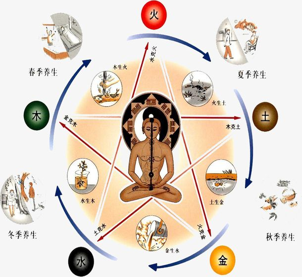 胆为中正之官是阳气生发的原动力