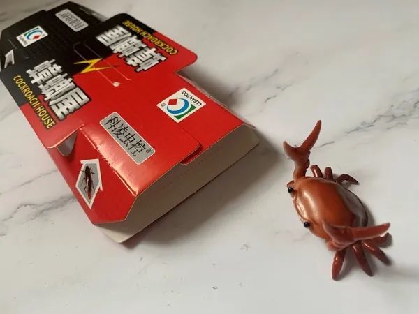 干货分享!4步教你简单有效灭杀屋内蟑螂!