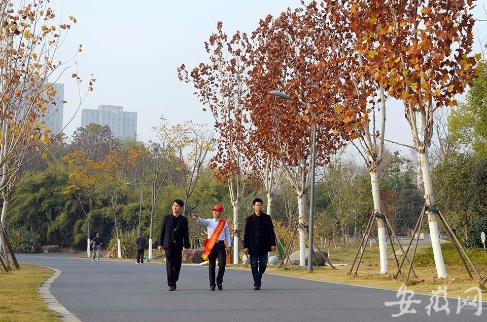 合肥南豔湖,翡翠湖公園喊你來當