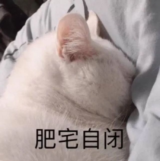 可爱的沙雕朋友圈文案1420