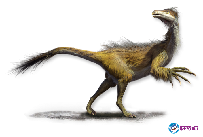 天宇龙复原模型                       图4.北票龙复原模型图5.