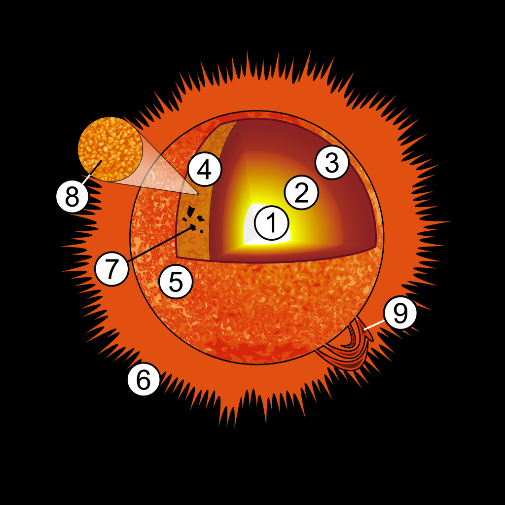 科学向日葵太阳的里三层