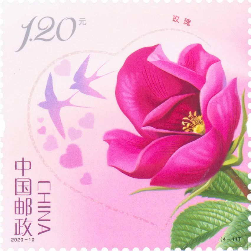 2020-10t《玫瑰》邮票5月20日发行,高清大图