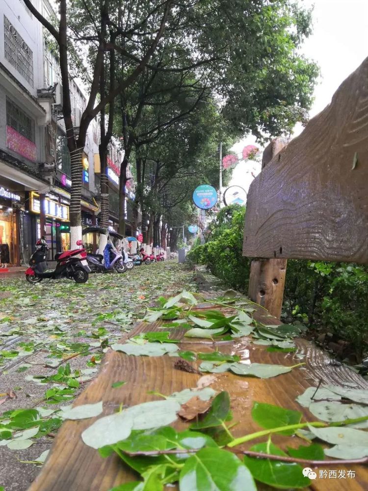 今天下午 毕节这里冰雹来袭 请做好安全防范 腾讯新闻