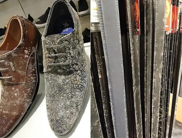 和地毯上被厚厚的霉菌和灰尘覆盖;而商店里货架上的商品也严重发霉