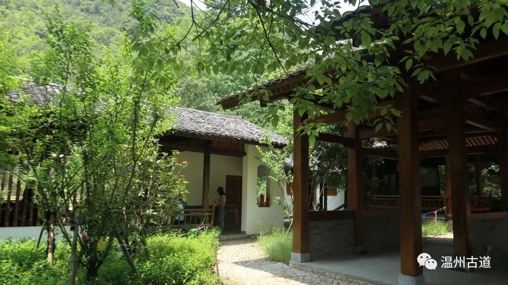 楠溪山水醉迷在野芳中寻味儿时的麦饼香