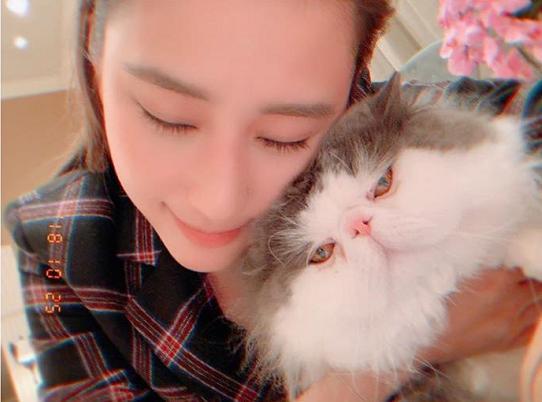 何猷君|合体捞金？何猷君奚梦瑶又上综艺，赌王离世月余两人要自力更生？