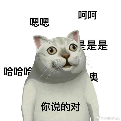 憨憨猫沙雕表情包专业水平上升了