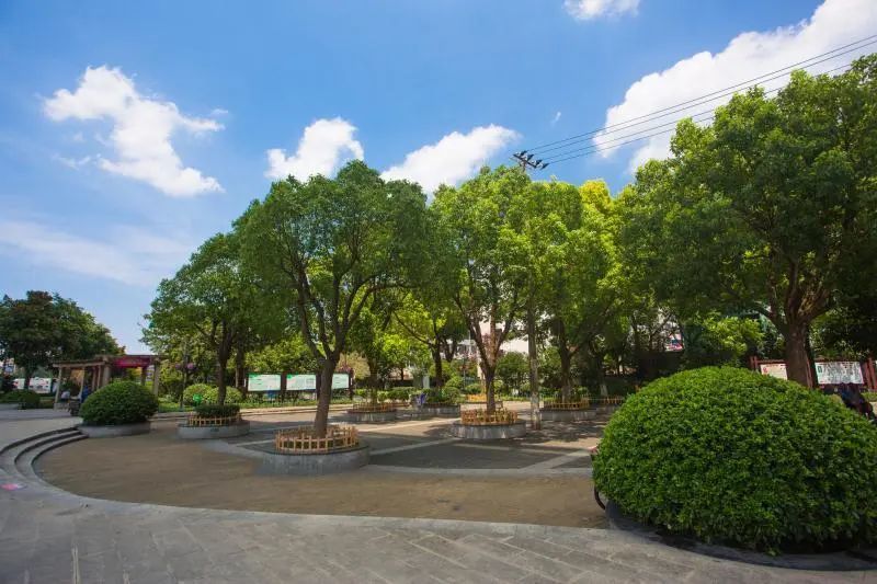 西渡江边公园奉贤浦江岸线上的一道新风景