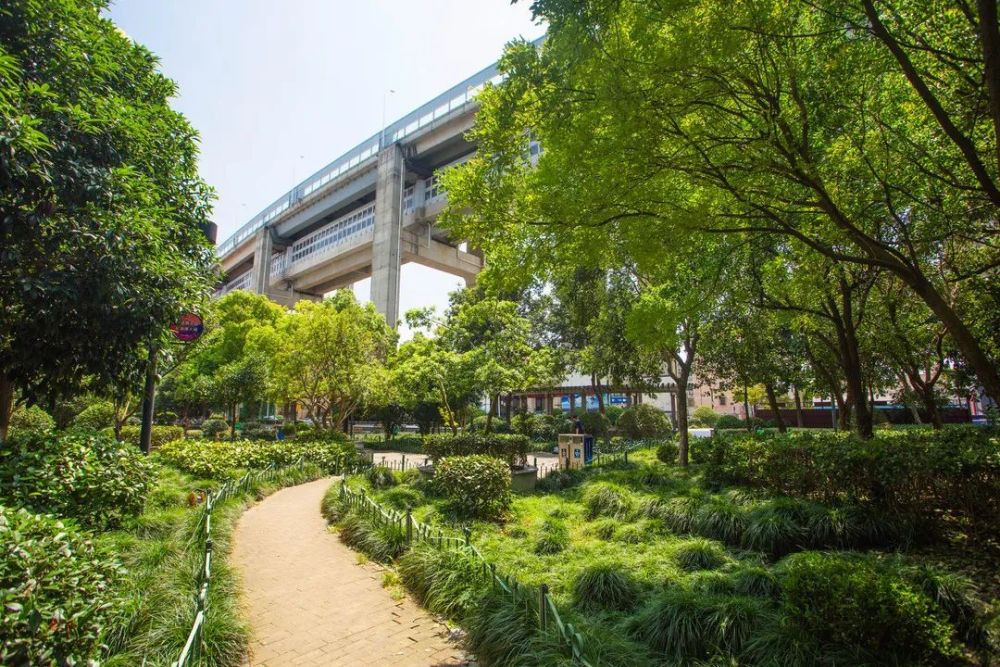 西渡江边公园奉贤浦江岸线上的一道新风景