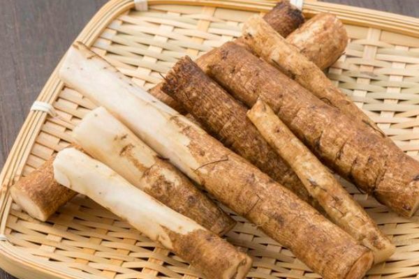 既是菜又是药的牛蒡 市场前景非常广阔 种植技巧你要学会 腾讯新闻