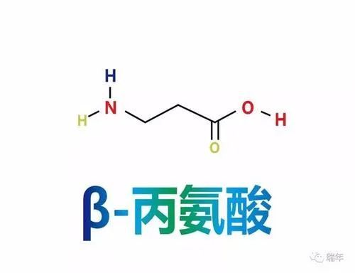 在5周力量训练中补充β丙氨酸的效果一项随机对照研究