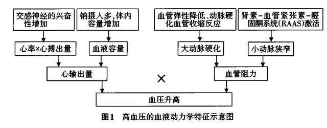 为什么会得高血压 如何预防高血压 本文为你一次性说清 腾讯新闻