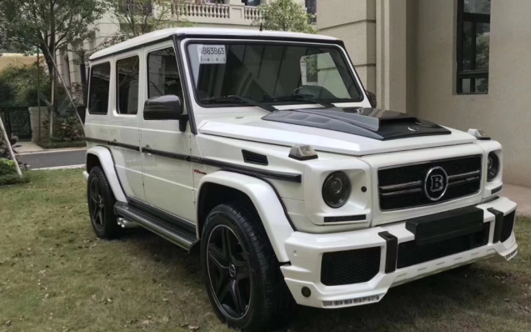 东北偶遇一辆奔驰大g,车牌5个大字引人注目,路人:太猖狂了!