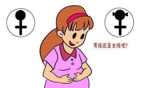 為什麼有的人一直生男孩,有的一直生女孩?