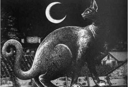 和云南"巫蛊"相提并论的青海"猫鬼神"是啥?真的有那么厉害?