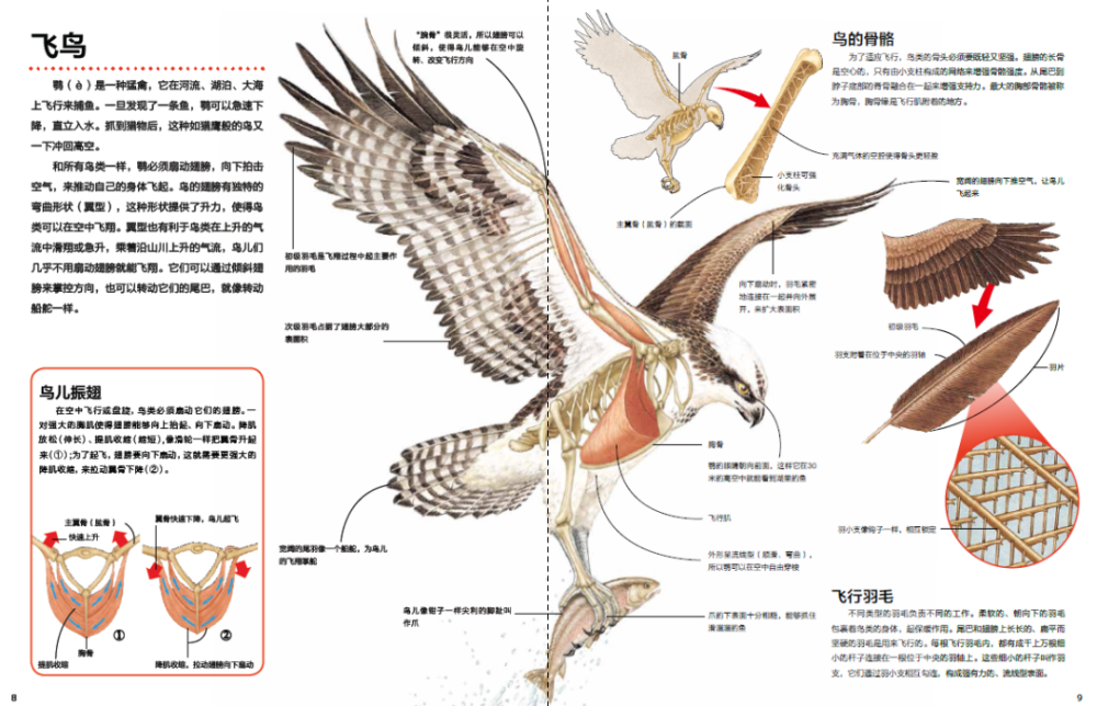 自从有了这本书我再也不会因为孩子无穷尽的为什么而恼羞成怒了