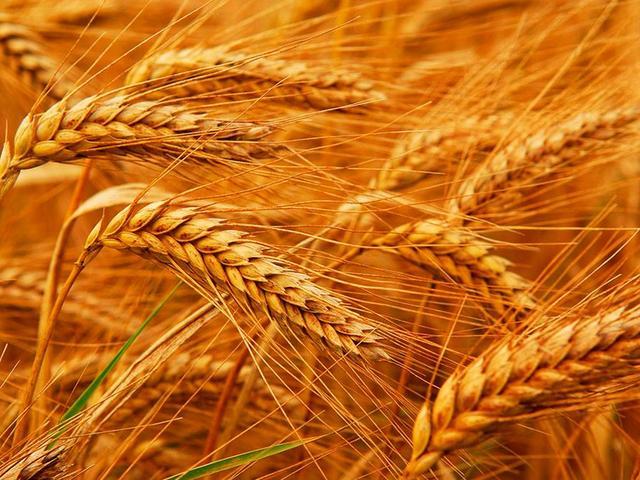 古人讲"闰四月,兆荒年",2020年是闰四月,对农村有啥影响?