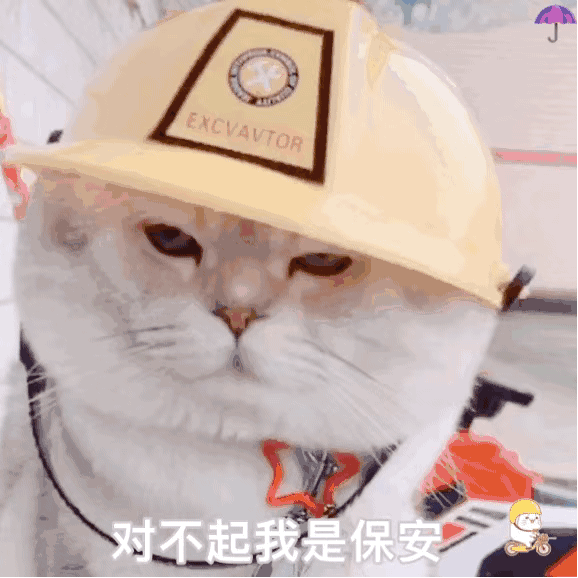 可爱猫咪动图表情包