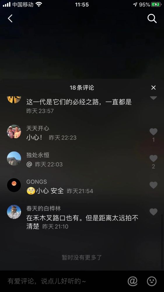 新疆喀纳斯 熊出没 腾讯新闻