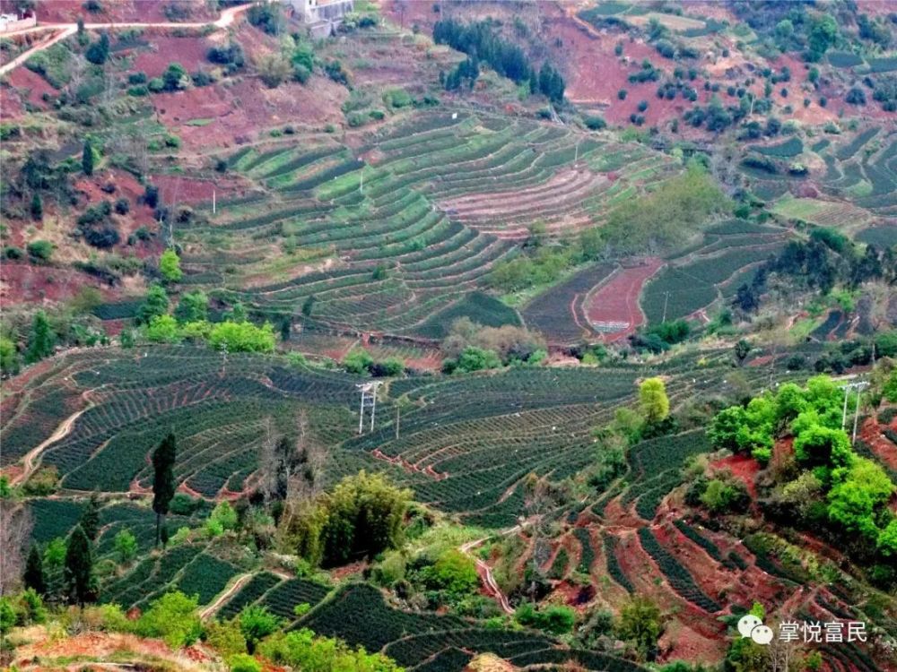 富民美丽乡村之旅石窝铺