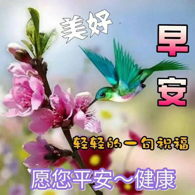 中老年表情包,聊天動態帶字圖片早上好祝福,過得快樂,笑得幸福!