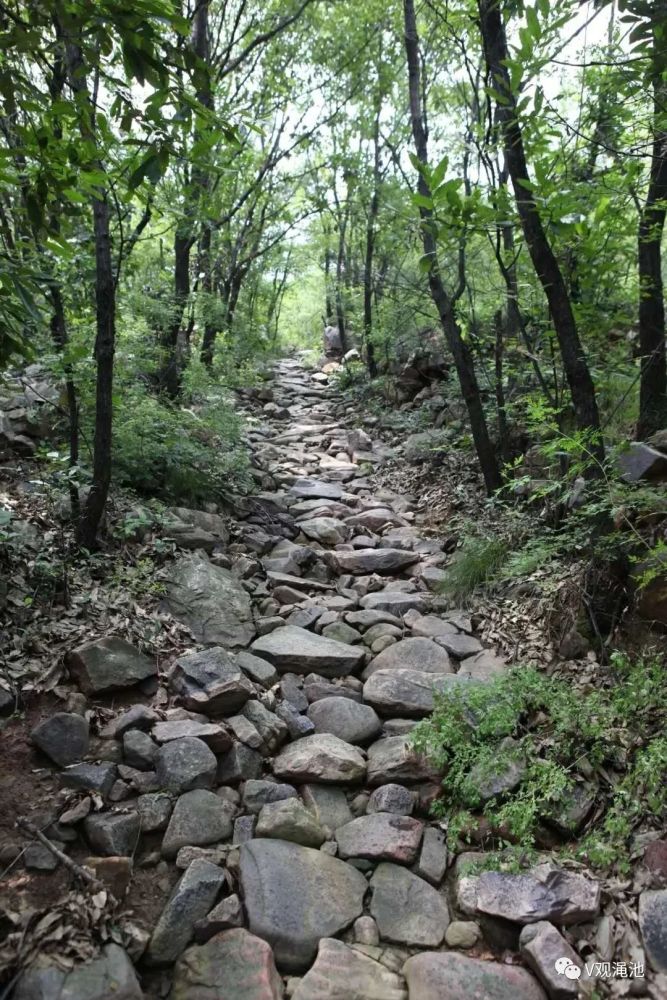 今天阳壶古道迎来一批特殊的客人