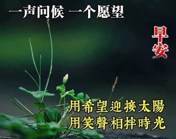 最新早上好精美的圖片帶字願你保重身體開心無比